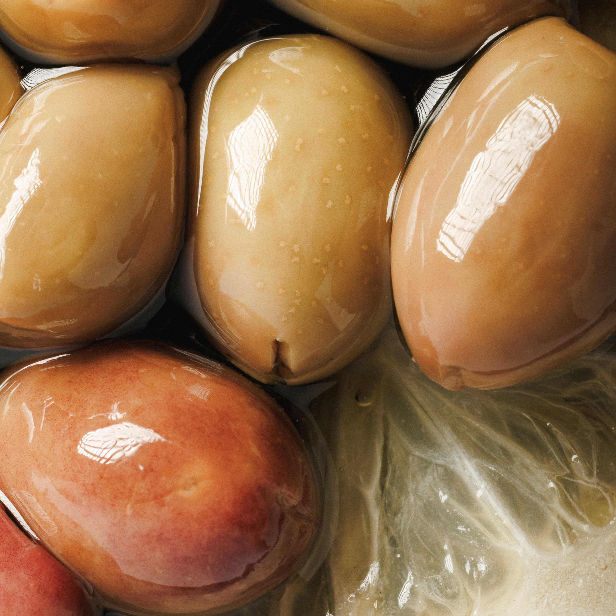 Azeitonas em Azeite com Limão e ervas aromáticas 1